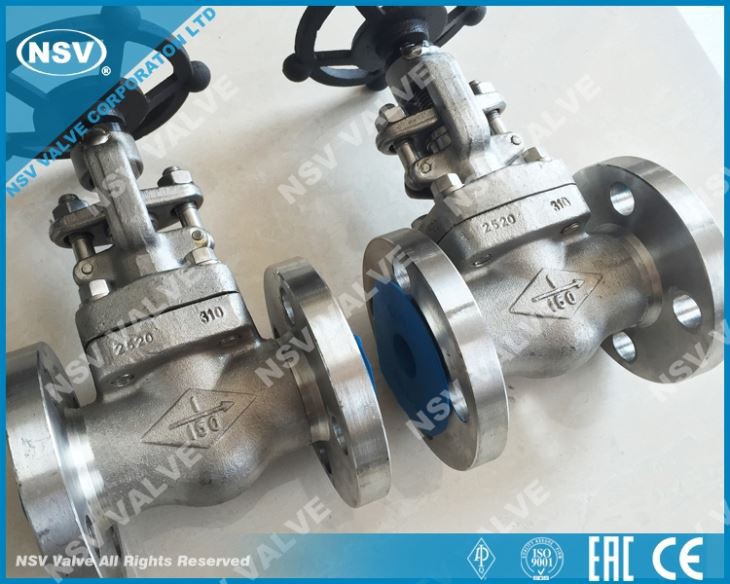 F310 Globe Valve