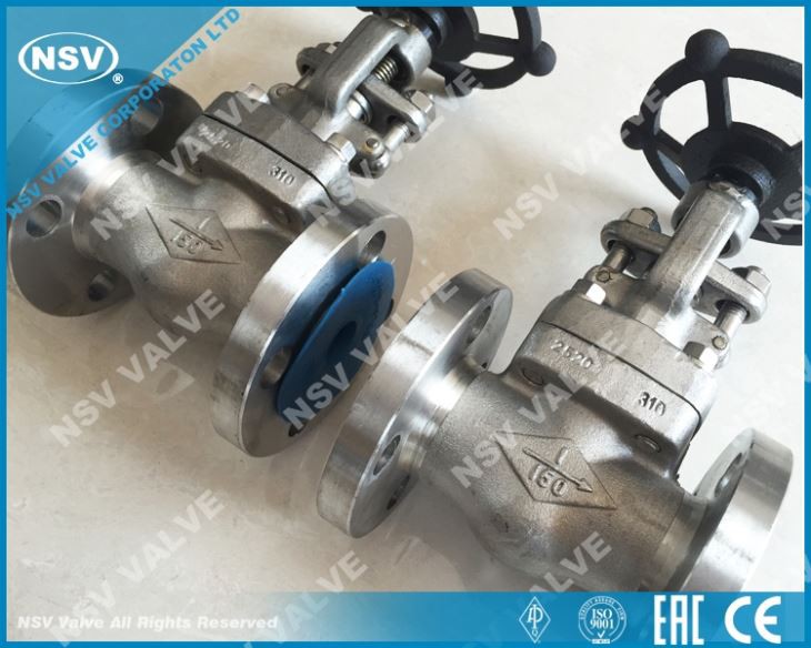 F310 Globe Valve